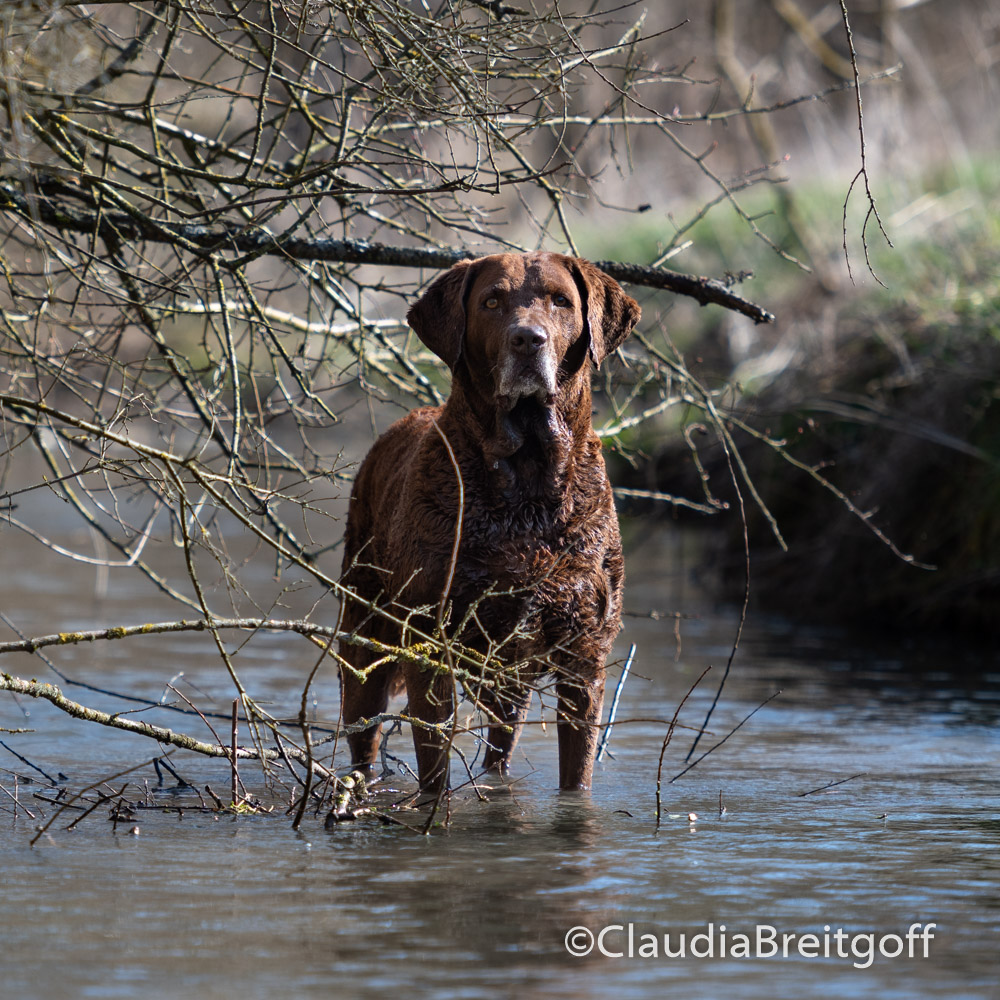 fotografie_claudia_breitgoff_20190329-1000px-039