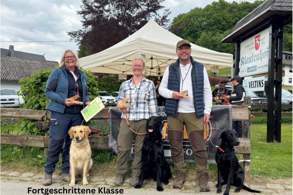 Fortgeschrittene