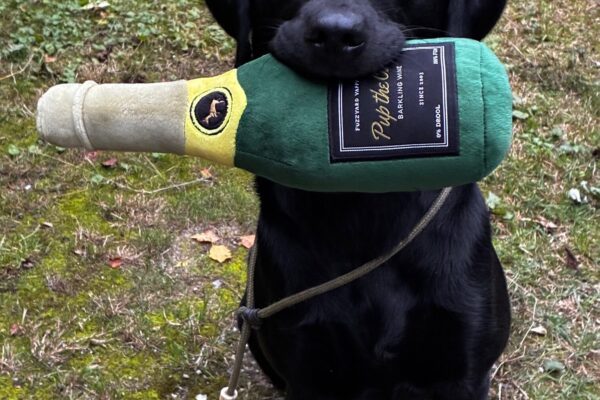 Photo zum Wesenstest am 03.10.2025_Lenné Photo zum Wesenstest am 03.10.2025_Lenné