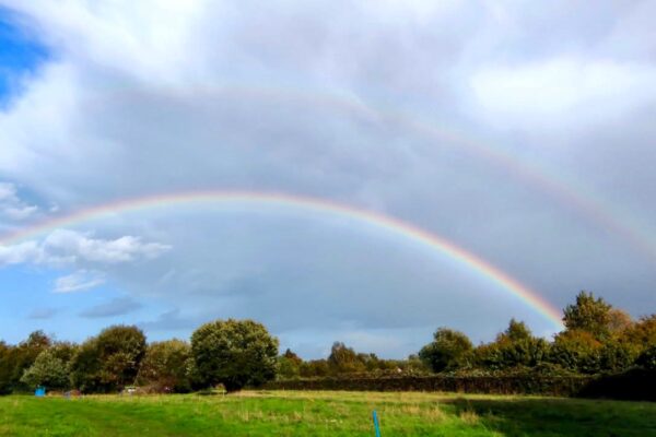 Wesenstest am 04.10..2025_Photo Wesenstest am 04.10..2025_Photo
