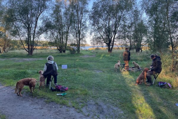 Charlotte1 Charlotte1