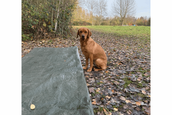 image002 (2) image002 (2)