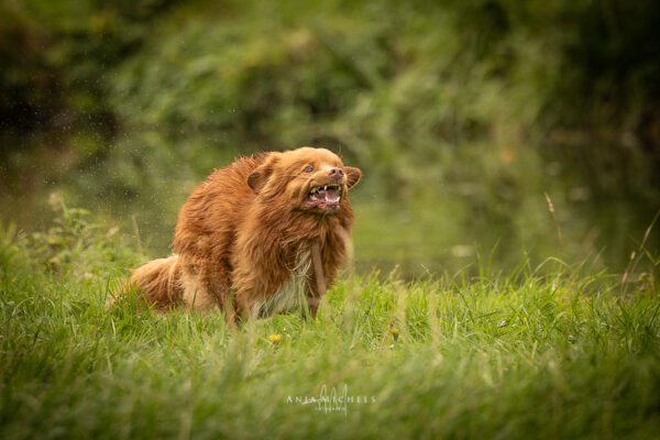 2025-DRC-Finale-A-5101-web 2025-DRC-Finale-A-5101-web