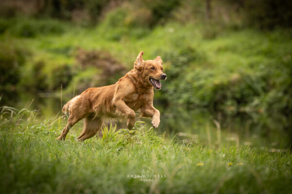 2025-DRC-Finale-A-5669-web 2025-DRC-Finale-A-5669-web