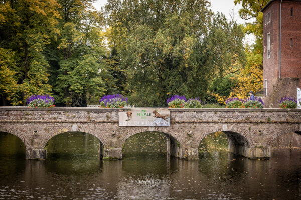 2025-DRC-Finale-A-6556-web 2025-DRC-Finale-A-6556-web