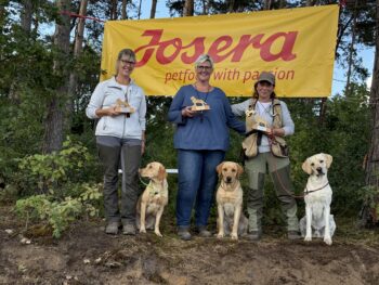 Braunschweiger Löwe