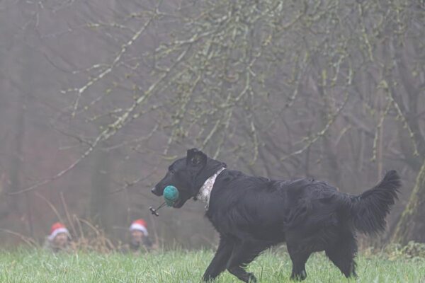 1f0250f0-22d9-4b58-be50-c841670a49d1