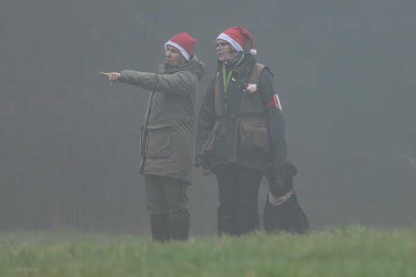 41500880-bb7c-4d94-9d85-f05e66797091