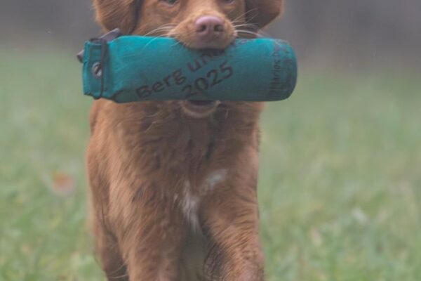 74480b86-b9ed-46fe-a4bc-1c1dcc52b757