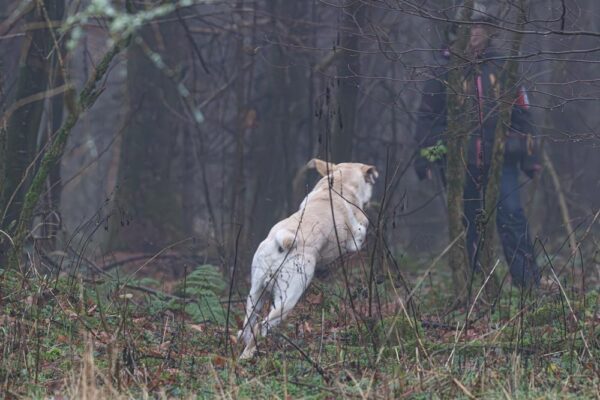 981f5a0a-ed42-40c1-b55d-729db6cc5c8f