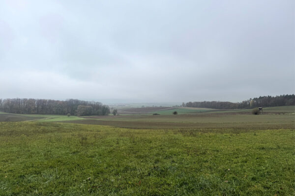 BZG6_2025_IMG_8912 (002) BZG6_2025_IMG_8912 (002)