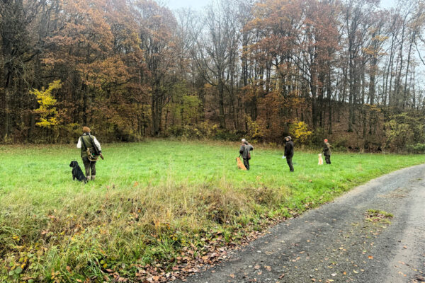 BZG6_2025_IMG_8916 (002) BZG6_2025_IMG_8916 (002)