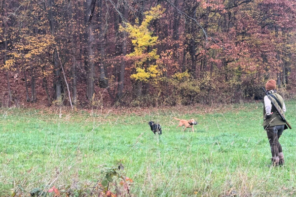 BZG6_2025_IMG_8917 (002) BZG6_2025_IMG_8917 (002)