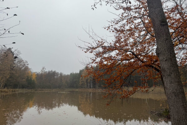 BZG6_2025_IMG_8919 (002) BZG6_2025_IMG_8919 (002)