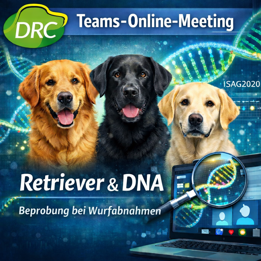 Online_TEams_DNA