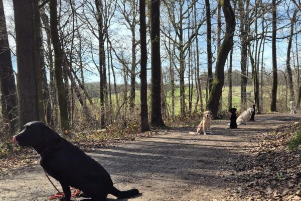 Osterspaziergang in der BZG DD