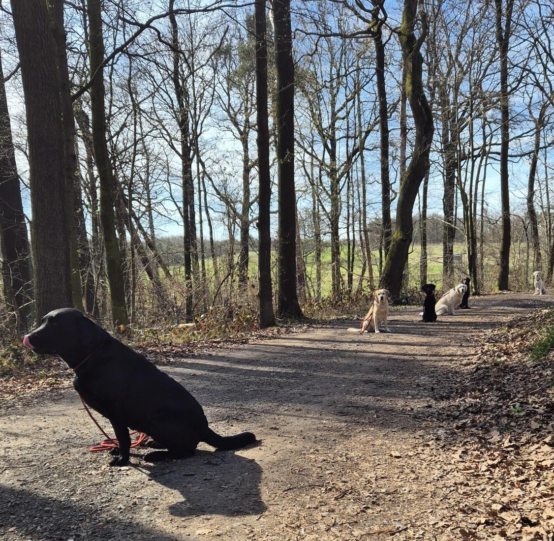 Osterspaziergang in der BZG DD