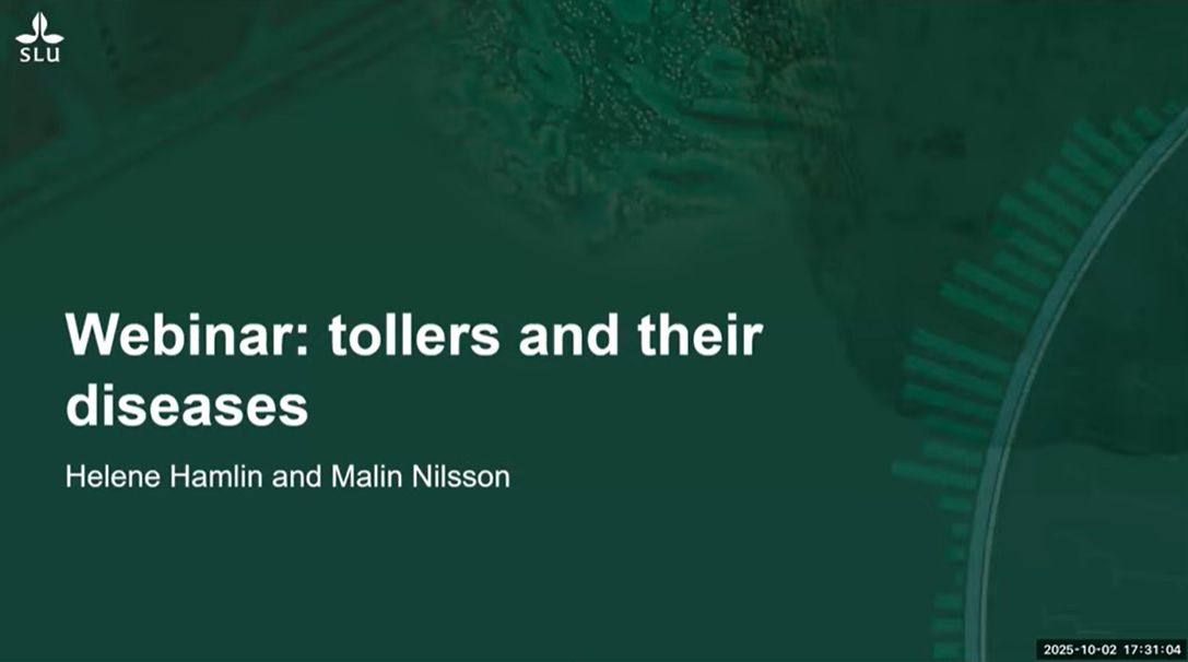 YoutubeWebinarTollerDiseases