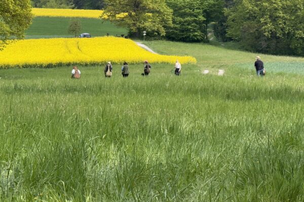 BZG6 _ Walk up O IMG_9266