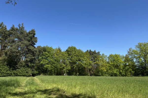BZG6_Blick ins Gelände Einzelmarkierung A IMG_9237