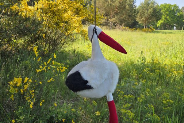 Foto Storch Wesenstest