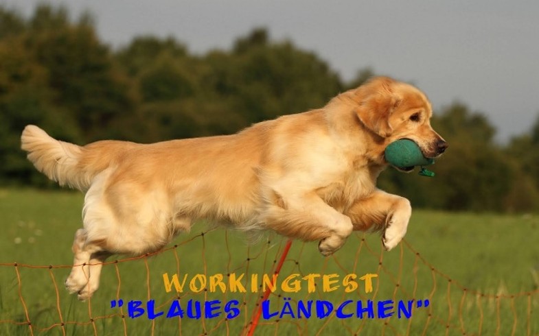 BZG5 Main-Taunus_Blaues_Laendchen2026