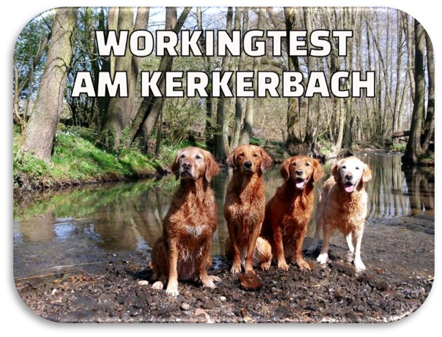 LG_Mitte_Kerkerbach_Logo_2026